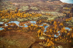 На фото Владимира Бойко «Голубая змейка» река напоминает жизненное течение, умеренное и активное одновременно