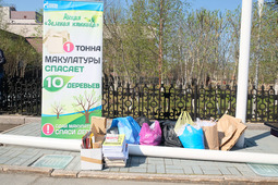 За минувший год сотрудниками ООО "Газпром добыча Уренгой" проведено множество субботников и других мероприятий, направленных на очистку и озеленение Нового Уренгоя и производственных территорий Общества