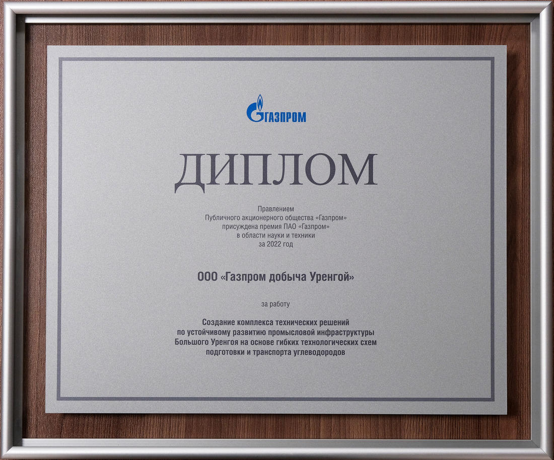 Диплом лауреата премии ПАО «Газпром» в области науки и техники