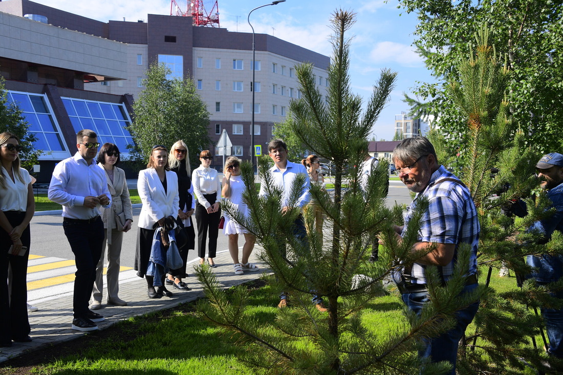 Директор Уральского сада лечебных культур имени профессора Л.И. Вигорова Павел Мартюшов дает рекомендации по уходу за зелеными насаждениями