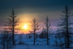 фото Андрея Герасимова  "Зима.Природа.Крайний Север"