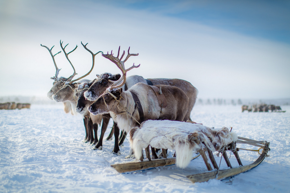 Фото крайний север россии