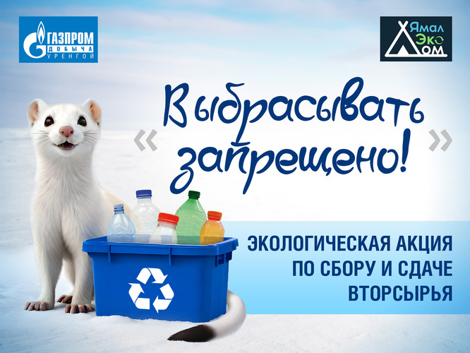 Наш ЭКОталисман — горностай Сеня
