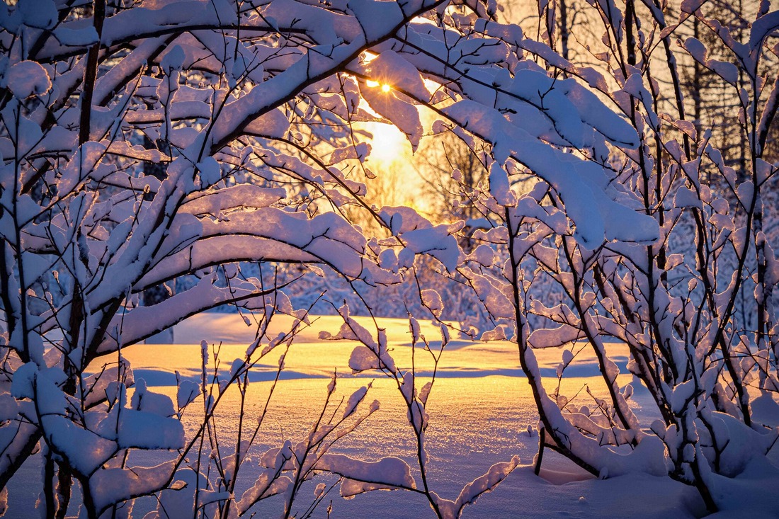 «Навстречу солнцу в снежной шубе». Ямало-Ненецкий автономный округ