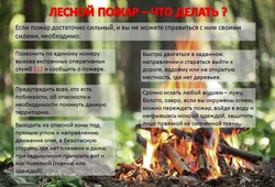 Правила поведения в лесу при пожаре