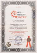 Сертификат Книги рекордов России, подтверждающий регистрацию рекорда