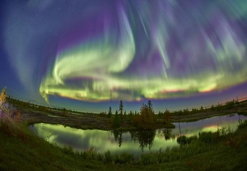 Фотография Владимира Бойко. «Северное сияние с чарующим звездным небом»
