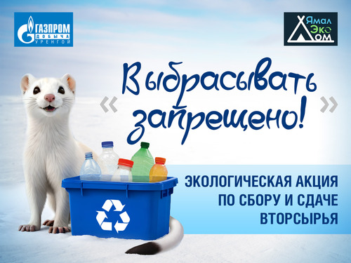 Главный экологический талисман «Газпром добыча Уренгой» — горностай по кличке Сеня