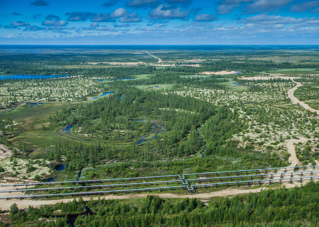 Конкурсная фотография