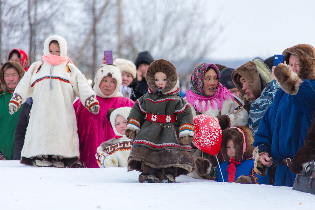 День оленевода — один из любимых праздников жителей и гостей Ямало-Ненецкого автономного округа