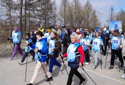 Группа участников скандинавской ходьбы