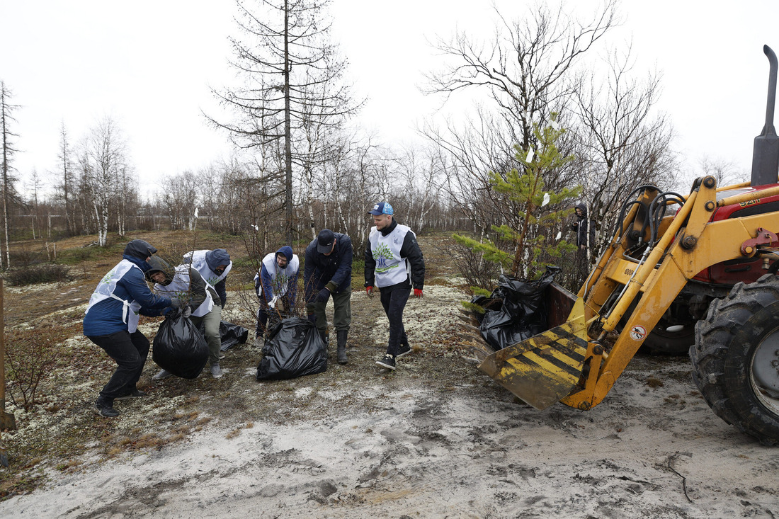 Работники газодобывающего предприятия в рамках экологической акции готовят деревья к пересадке